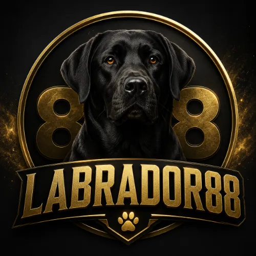 LABRADOR88 